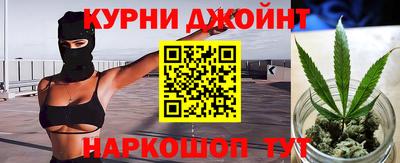 ешки Гатчина
