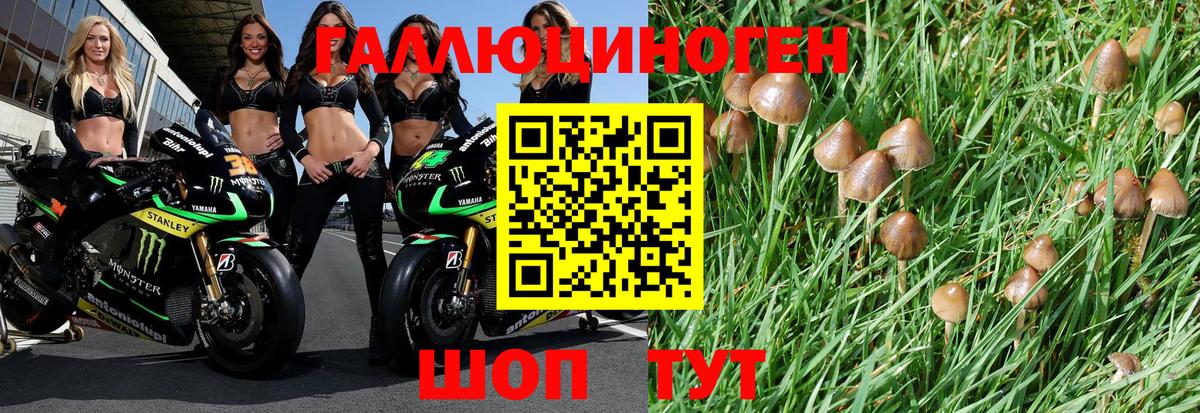 Псилоцибиновые грибы мухоморы Нерюнгри