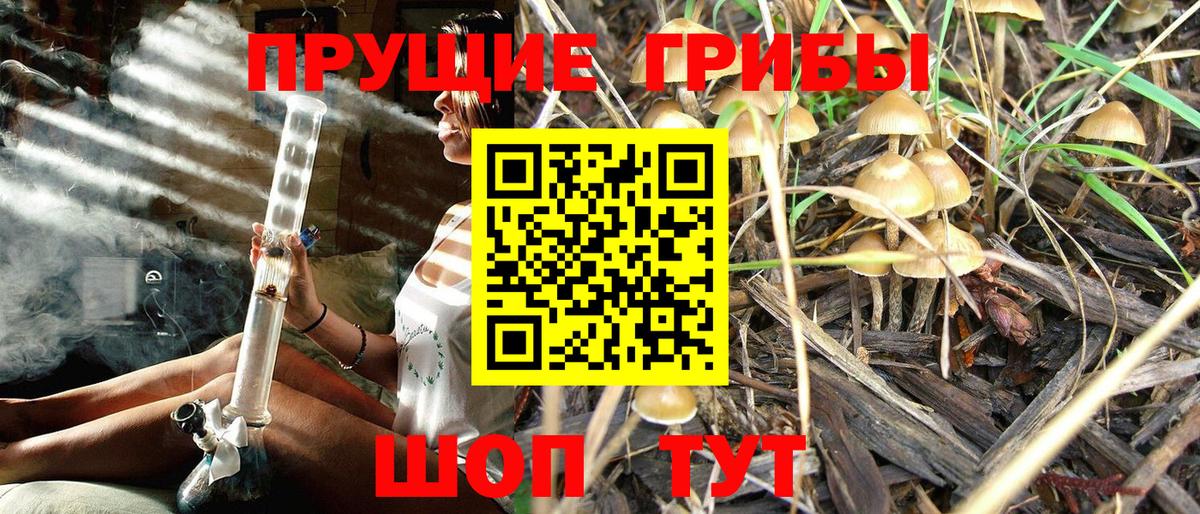 Псилоцибиновые грибы Magic Shrooms  Вход с VPN  Нерюнгри 